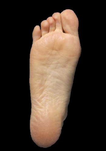 Foot Bottom