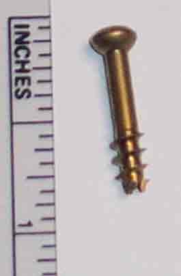 Surgical Screw for Bunion